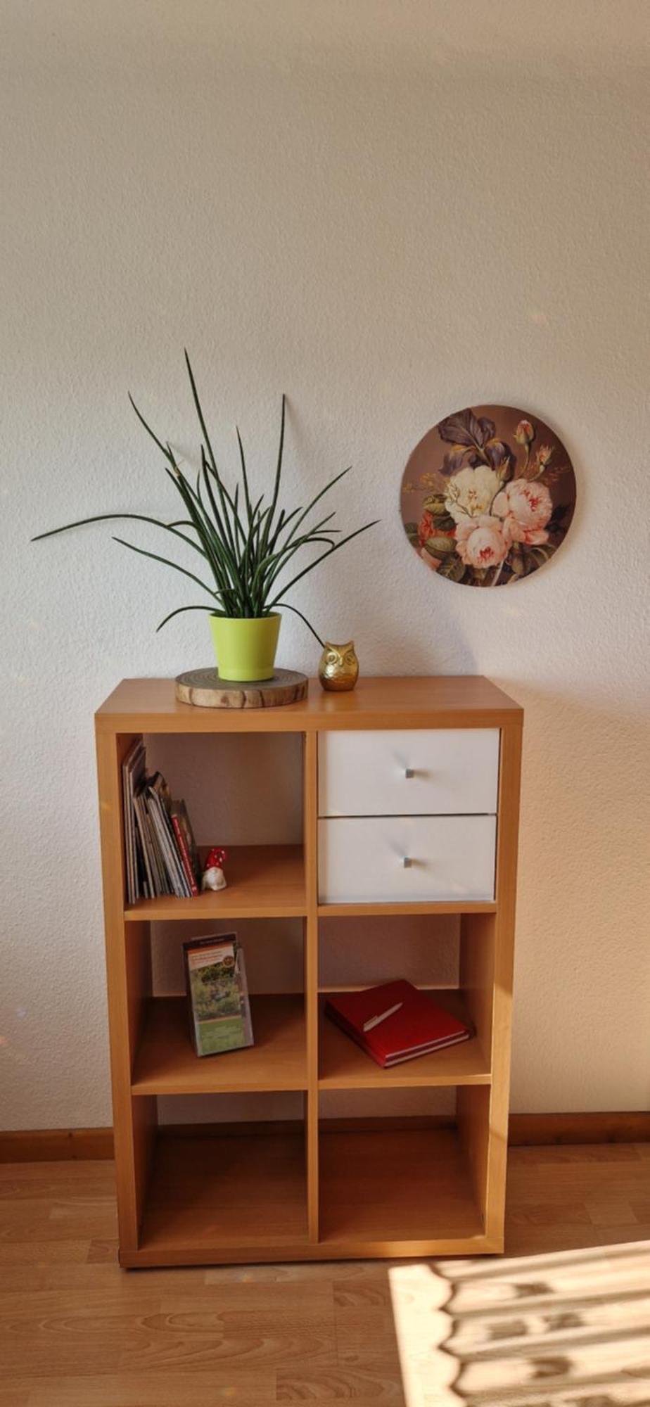 Ferienwohnung Haus Ella ノインキルヒェン エクステリア 写真