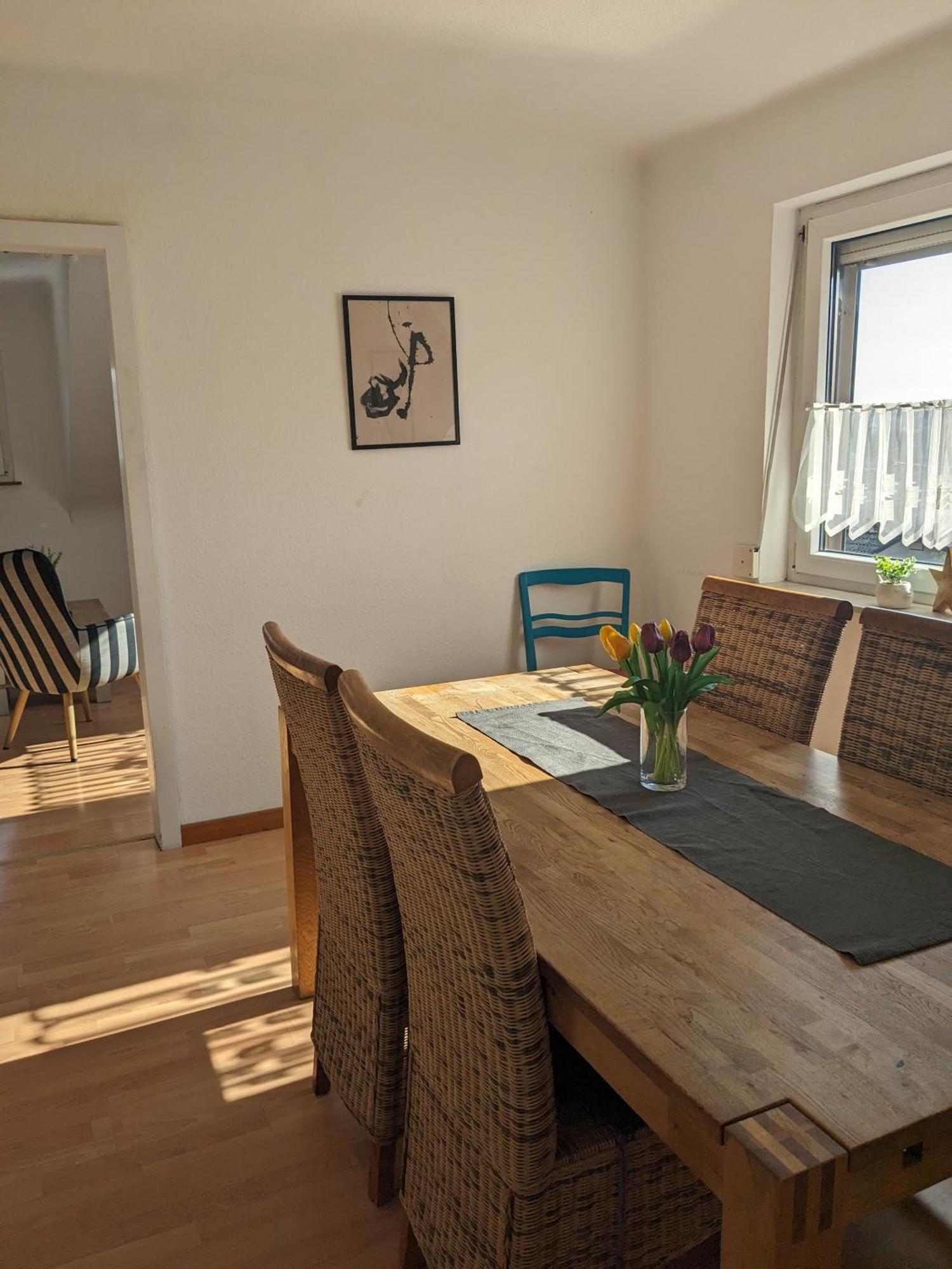 Ferienwohnung Haus Ella ノインキルヒェン エクステリア 写真